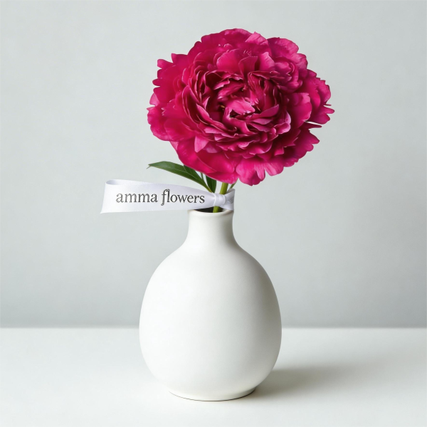 Пион Красная Фудзи/芍药-红富士/Red Fuji Peony